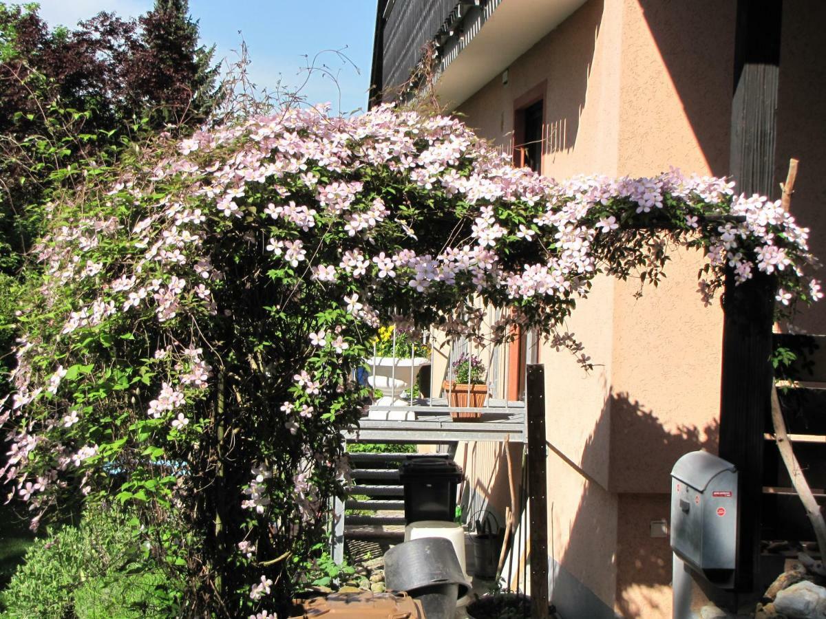 Igersheim Bellairis 아파트 외부 사진